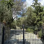 Divas Gartenhaus