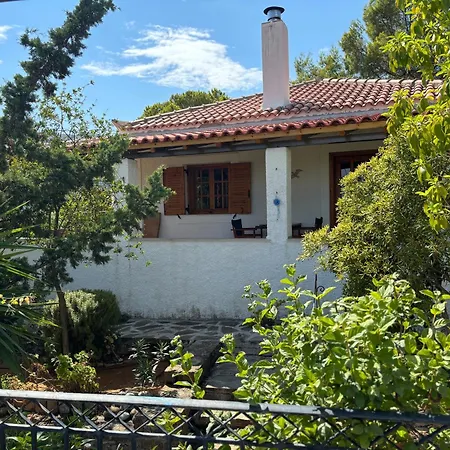 Divas Gartenhaus Tatil Evi